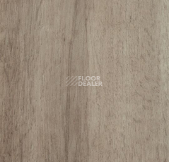 Кварцвиниловые полы Forbo Allura Click 60356CL5 grey autumn oak фото 1 | FLOORDEALER